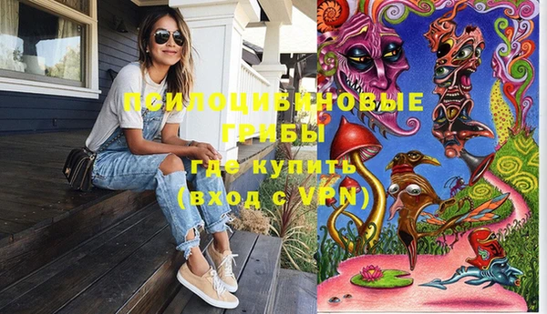 крисы Армянск