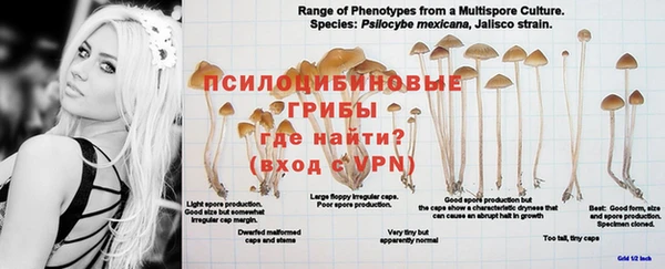 крисы Армянск
